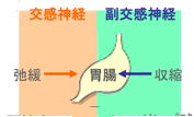 胃が苦手なストレス痛み