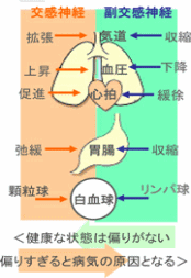 健康保持のメカニズム ホメオタシス